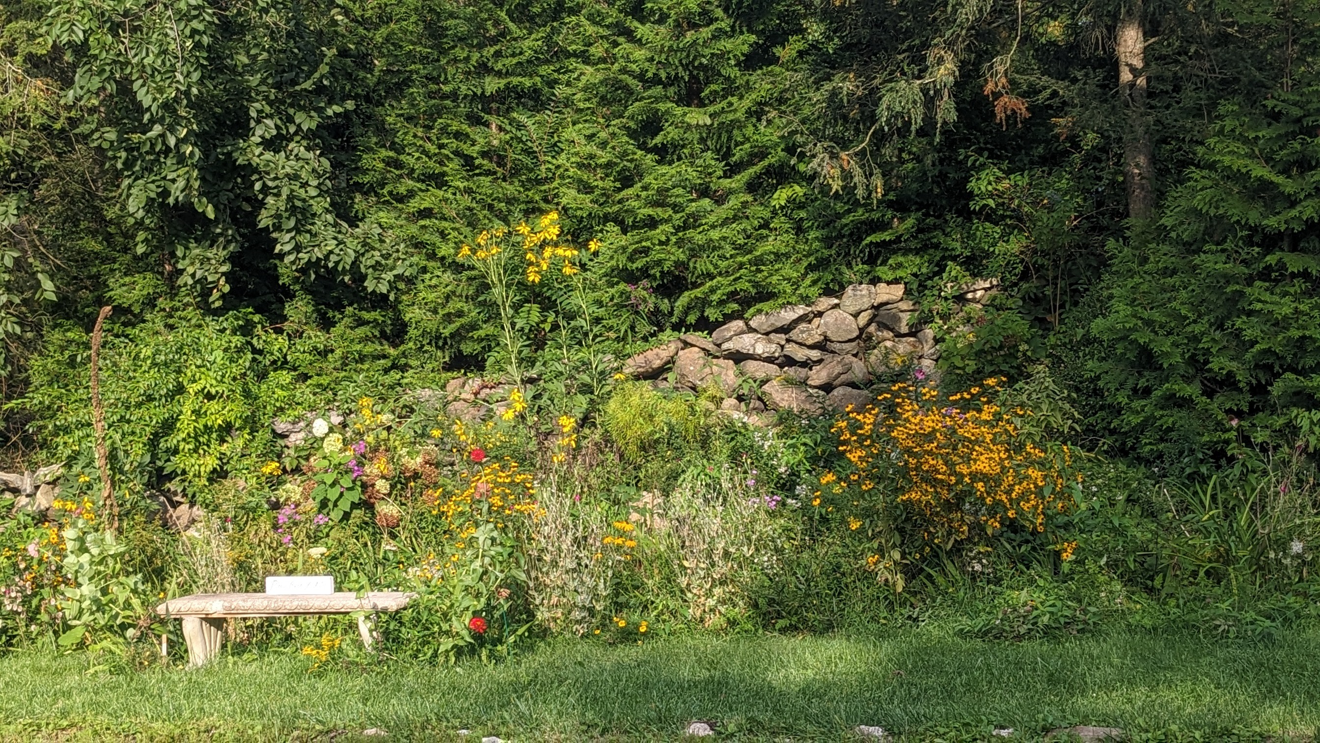 Cherry Street Pollinator Garden