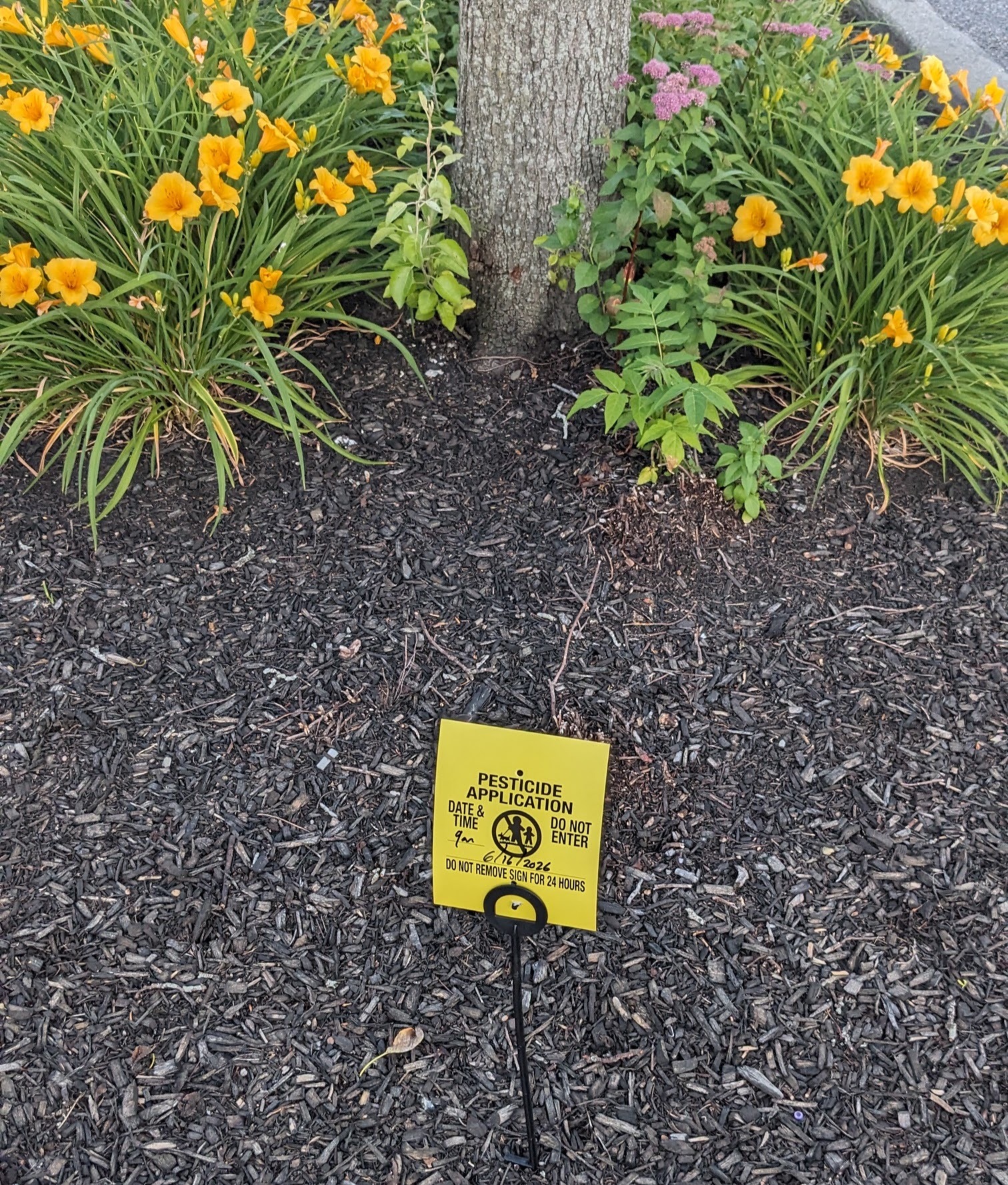 Mount Kisco Commons Parking Lot