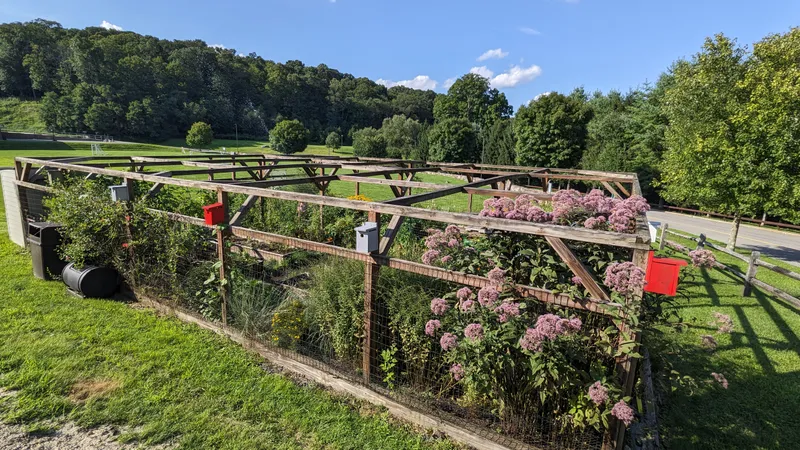 Featured observation photo